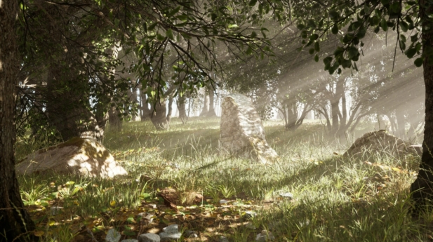JainHarvey_ForestScene